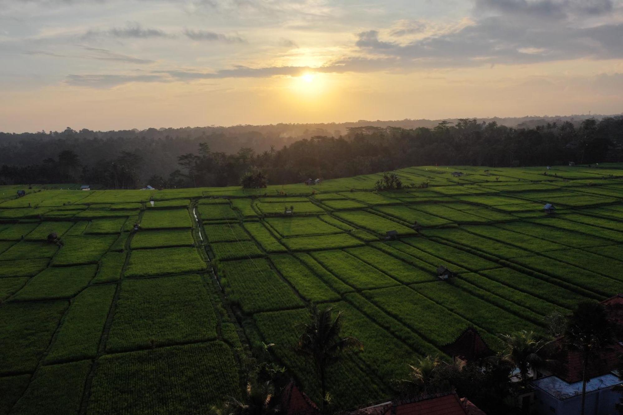 Umah Sunset Villa Ubud Eksteriør billede